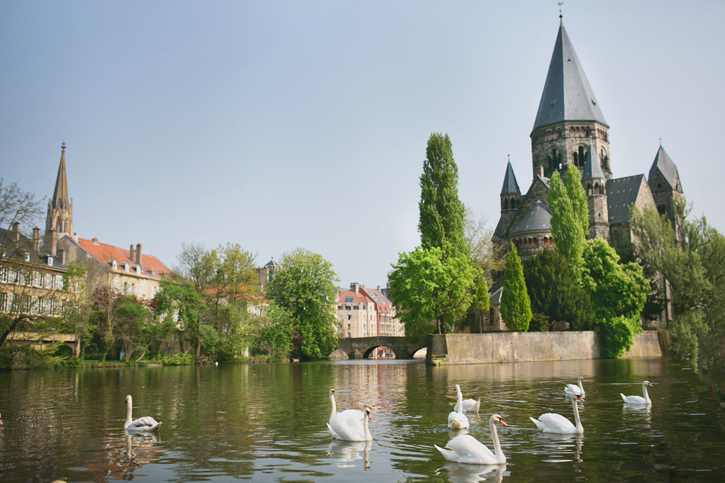 swans and cathedral in metz france 
